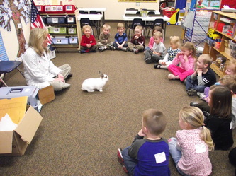 cat in elementary school with staff