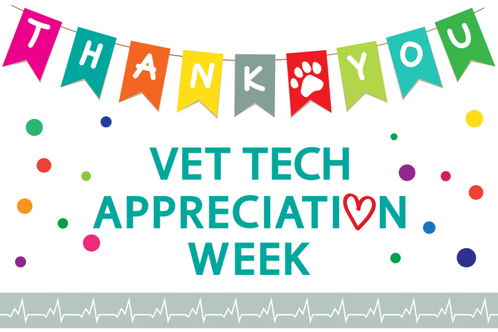 It’s Veterinary Technician Week!